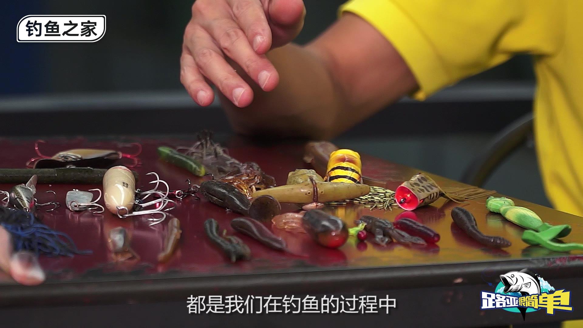 5路亚排骨(猪排骨前排和后排的区别)