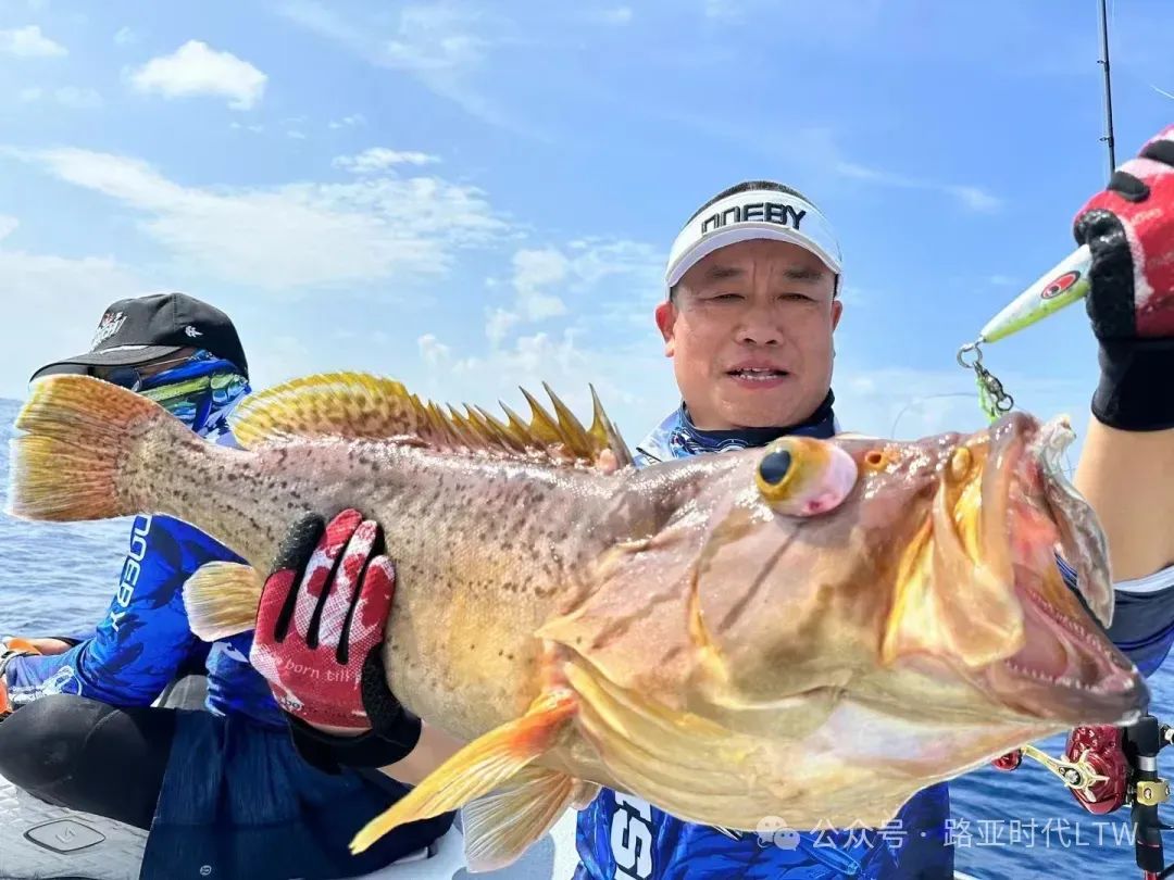 马尔代夫专业海钓(马尔代夫 鱼)