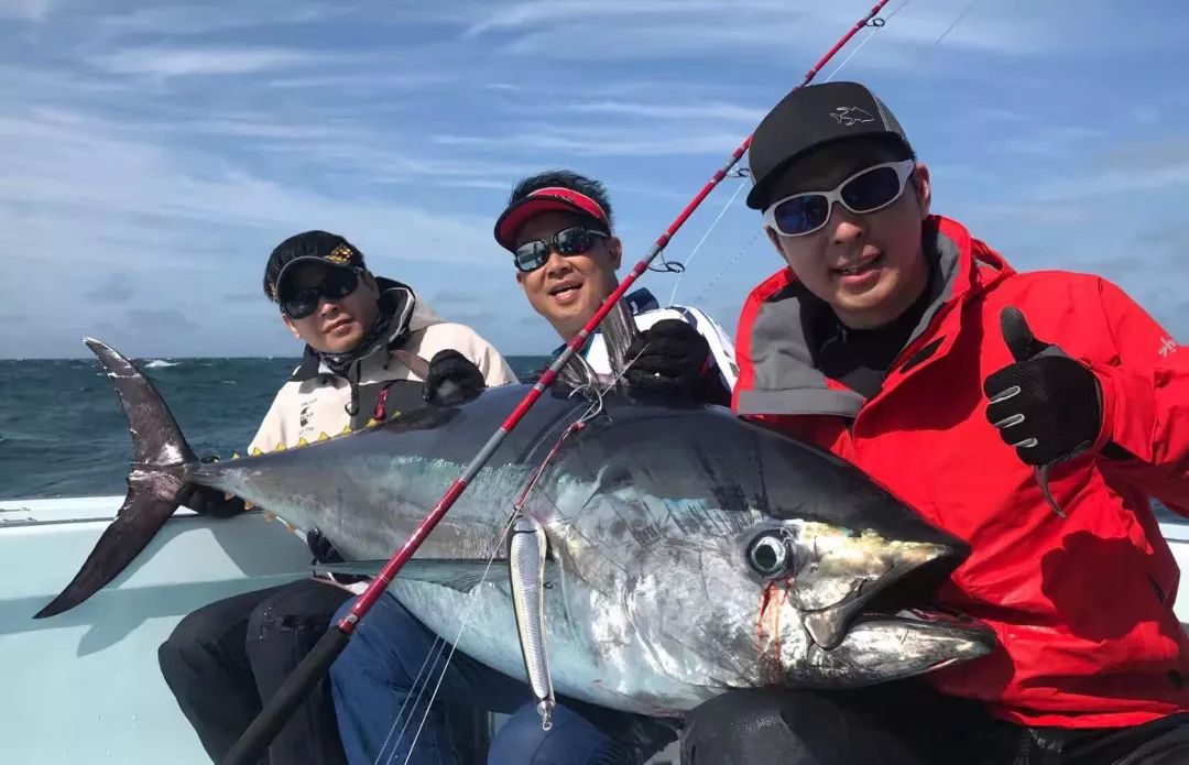 马尔代夫专业海钓(马尔代夫 鱼)