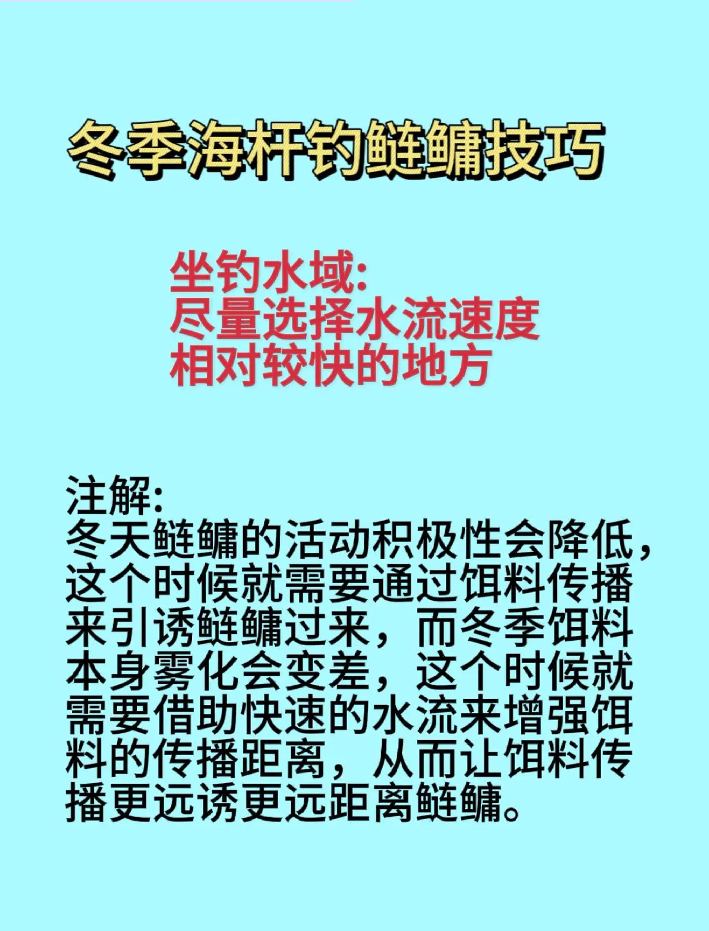 比赛钓新鱼技巧(比赛钓新鱼技巧口诀)