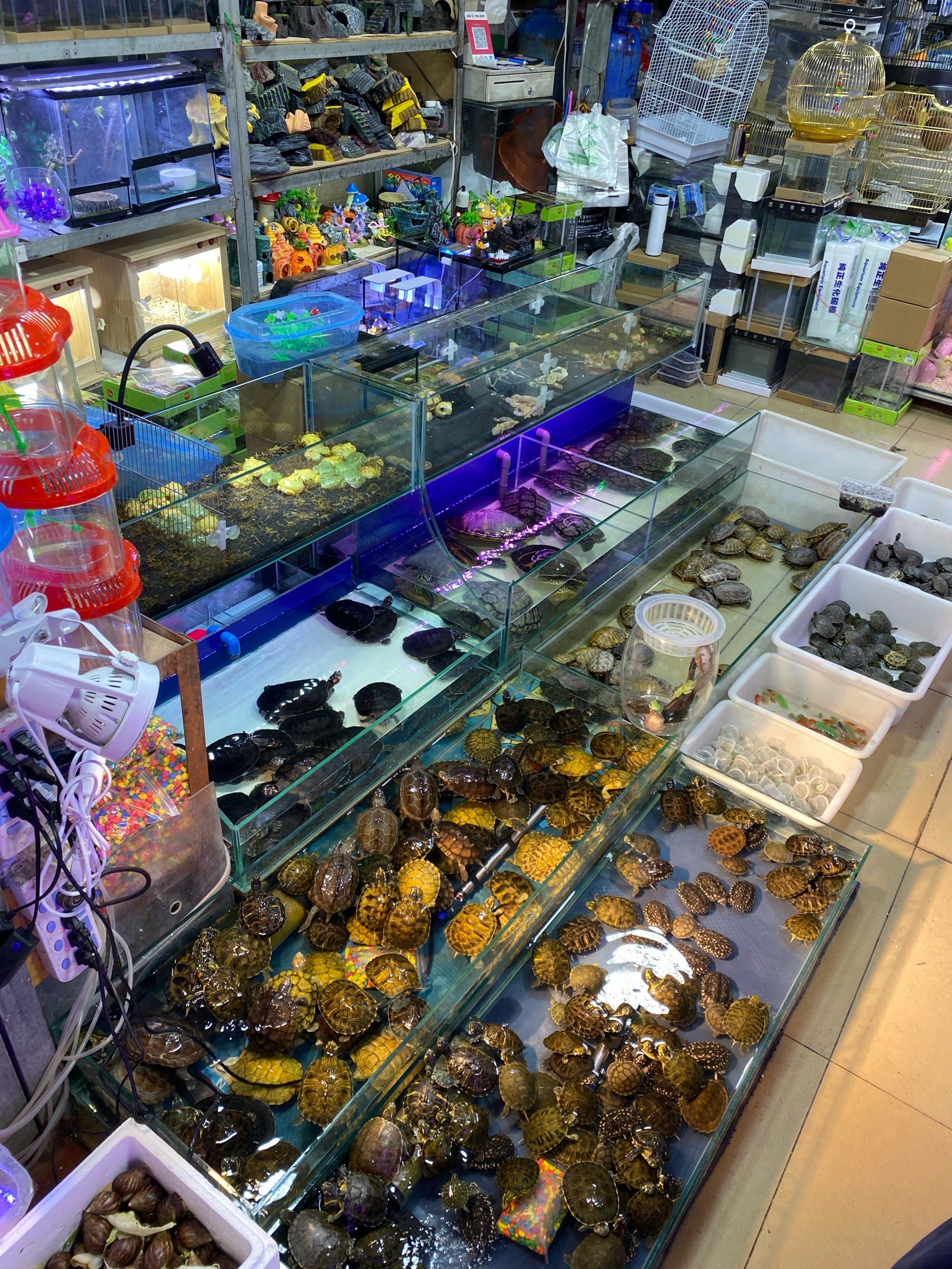 日本免税店里卖渔具吗(日本免税店买什么便宜)