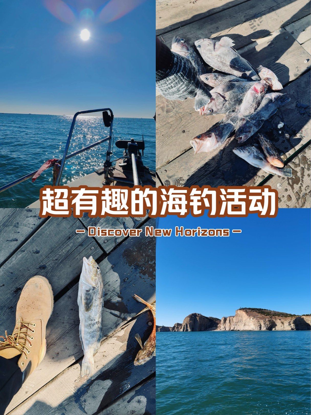 海钓玩家精品文章区(海钓玩家全集高清)