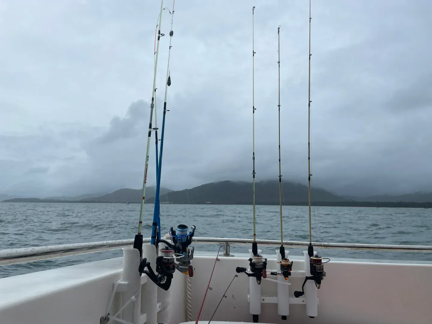 冬季海钓大全(冬天钓海鱼都有什么鱼)