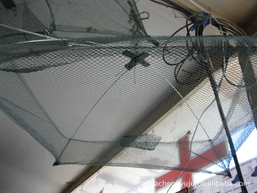 上海青浦渔具网具(上海青浦渔具网具店地址)