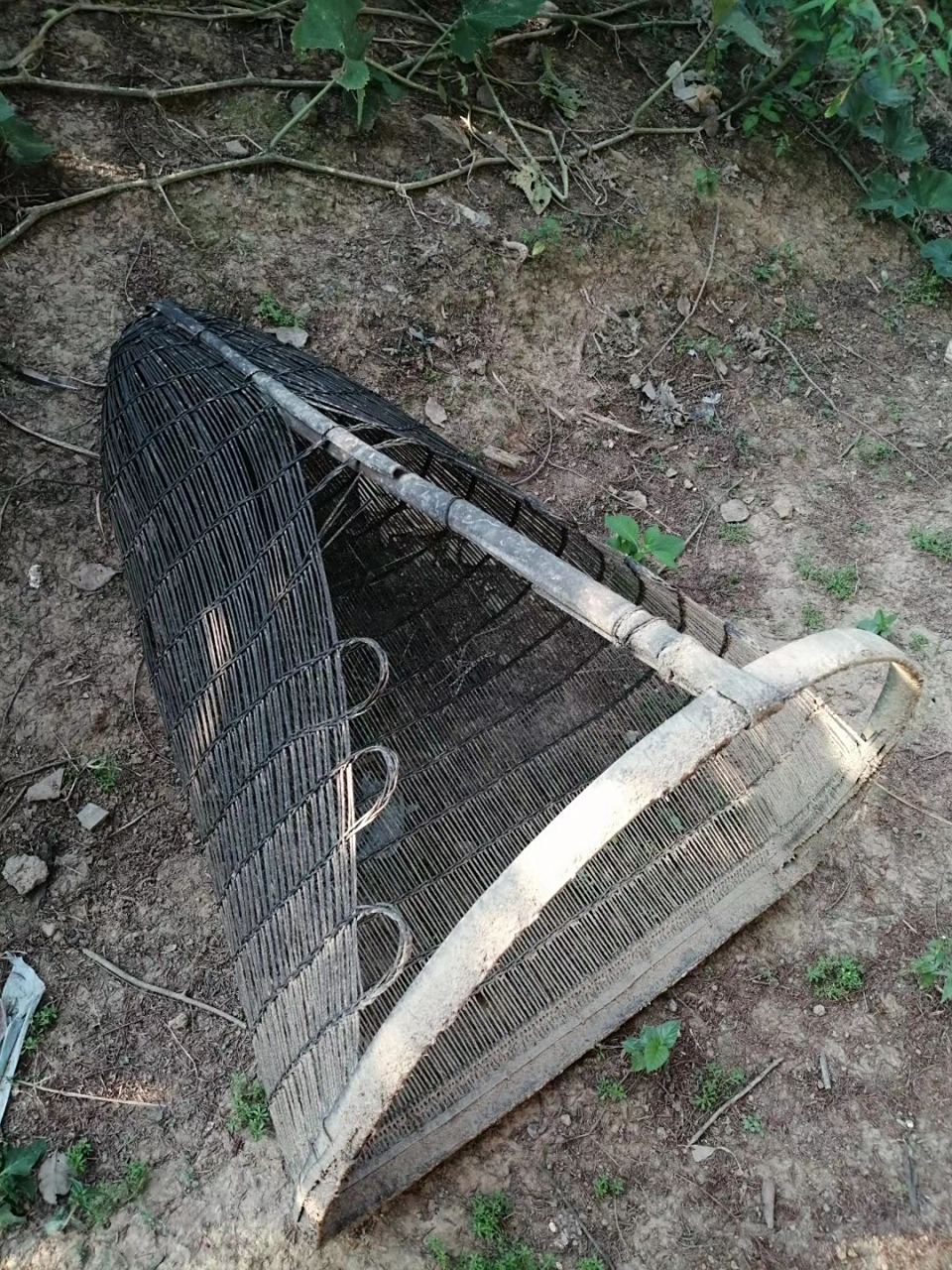 衡阳渔具(衡阳大型鱼市批发市场)