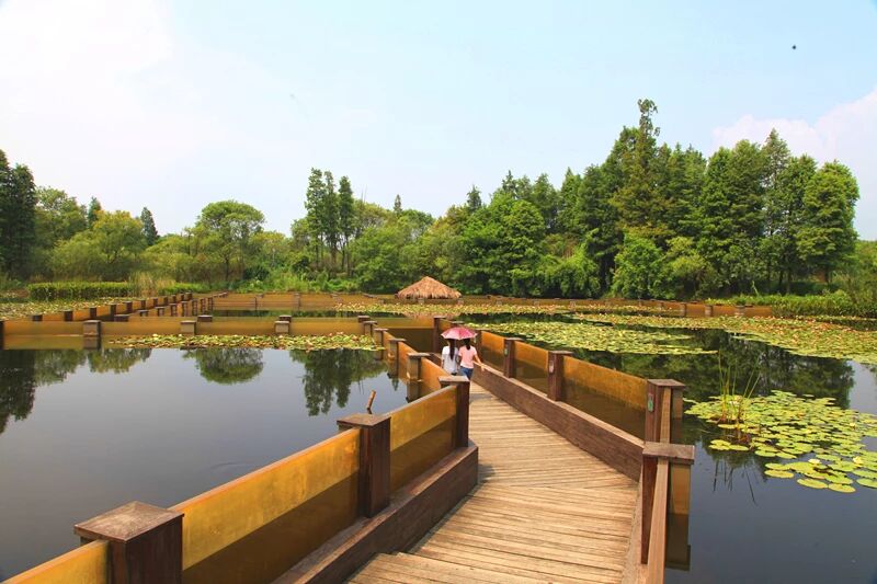 站立浮水技巧(站浮调节视频教程)