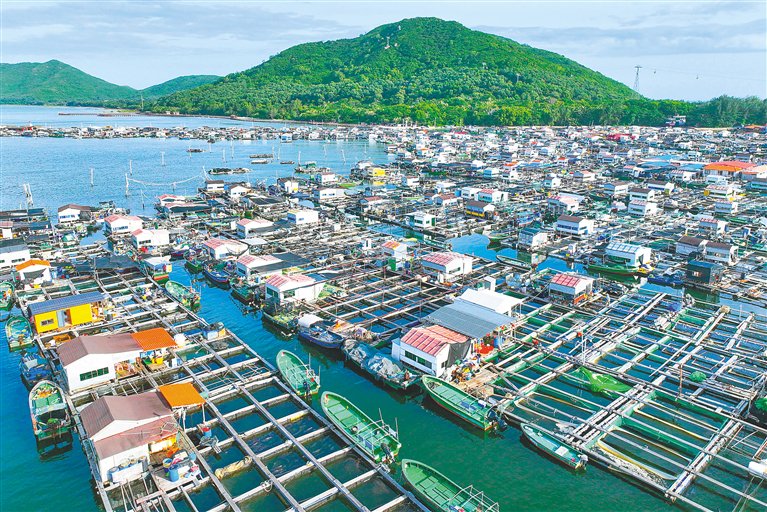 连江海钓鱼排(钓鱼被渔政抓了一般怎样)