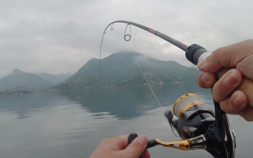 贵州红水河路亚(红水河路亚用什么路亚饵)