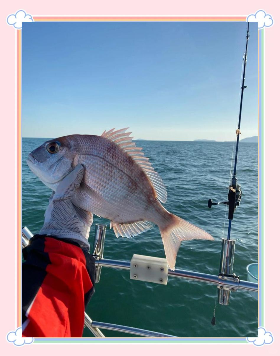 初一海钓好么(初一十五海钓)