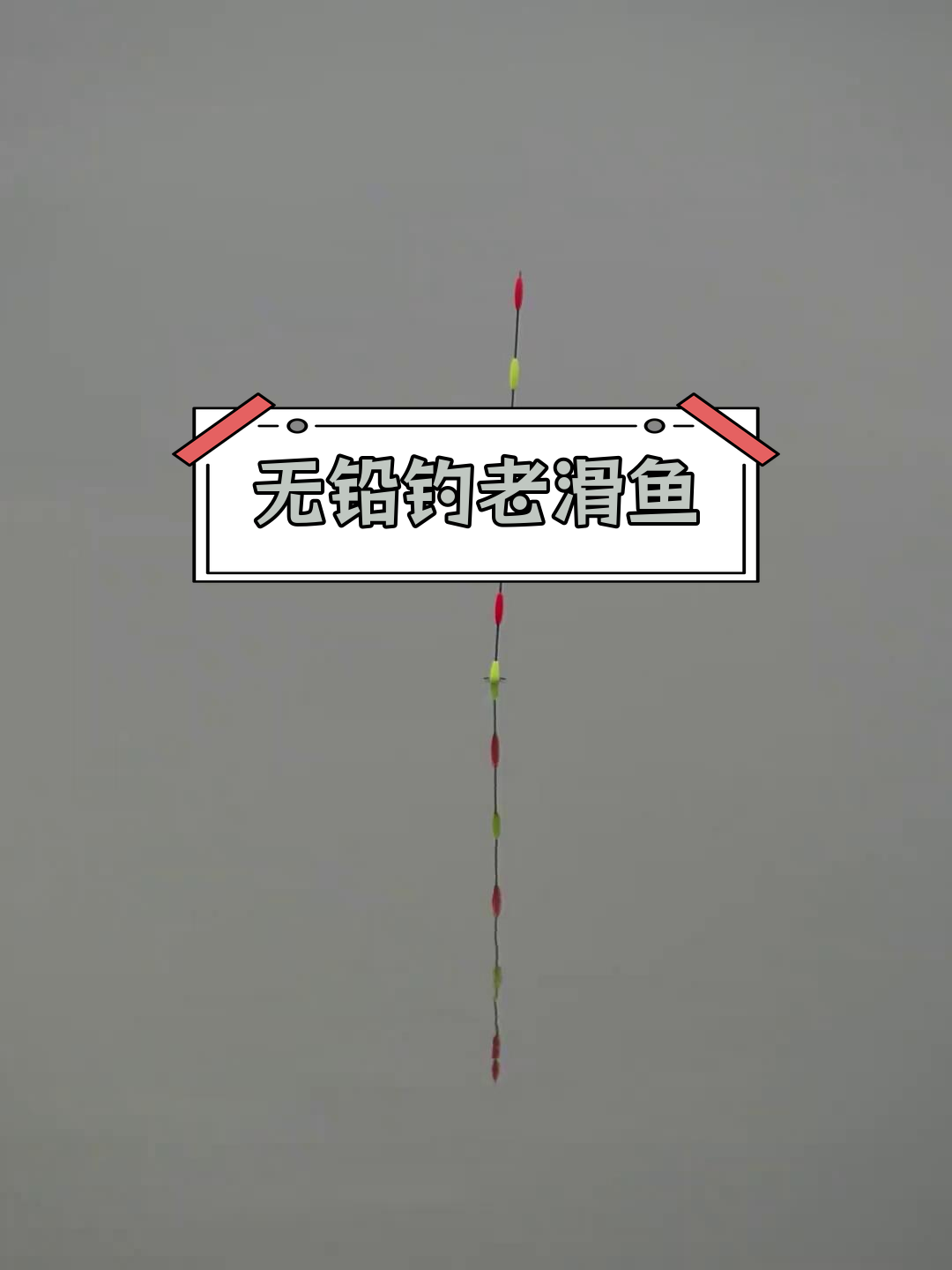 冬天钓乌青技巧(冬天如何钓乌青)