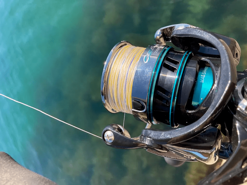 钓膳渔具(中国十大品牌渔具)