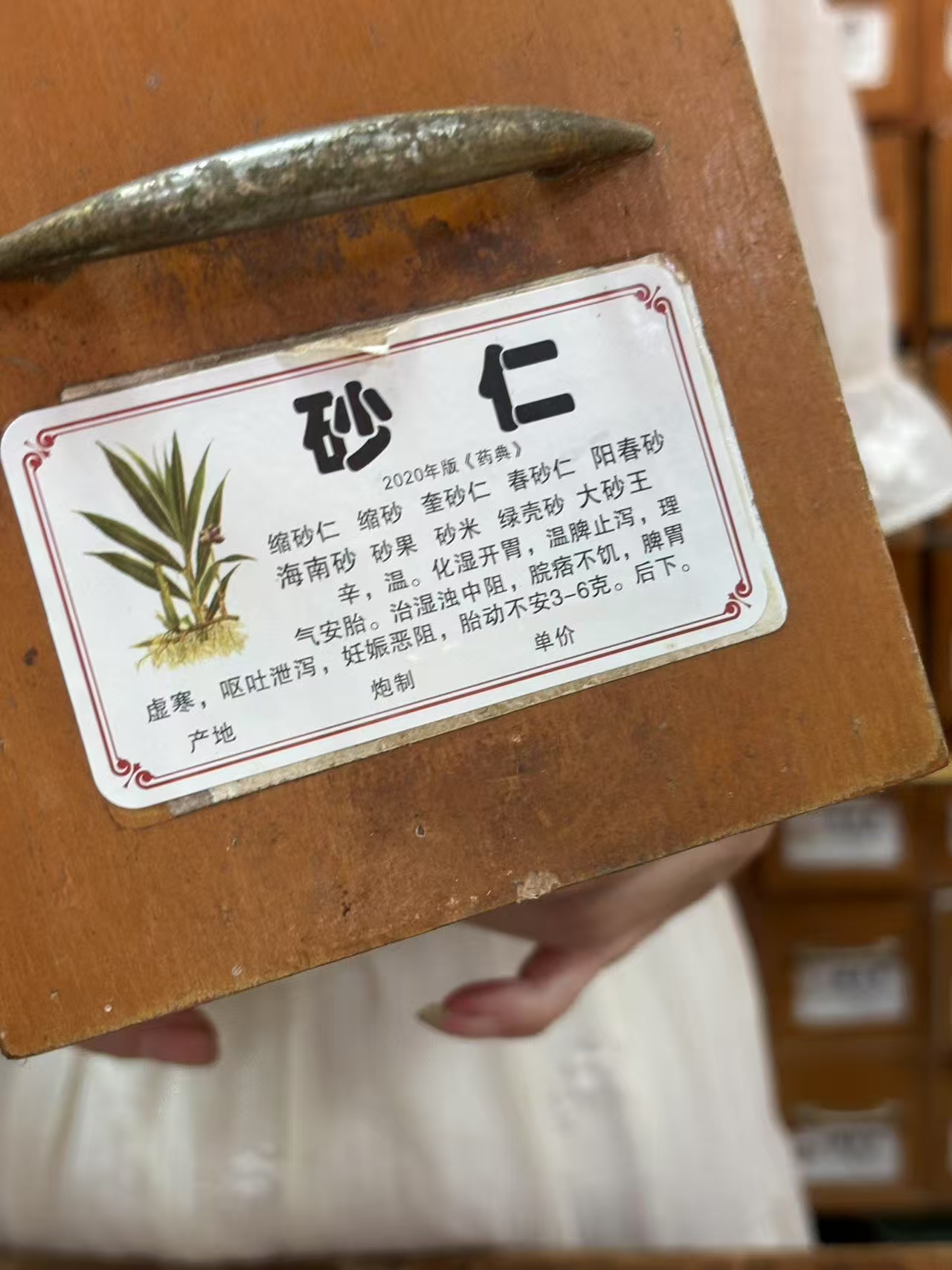 针筒饵料配方(针筒饵制作过程)