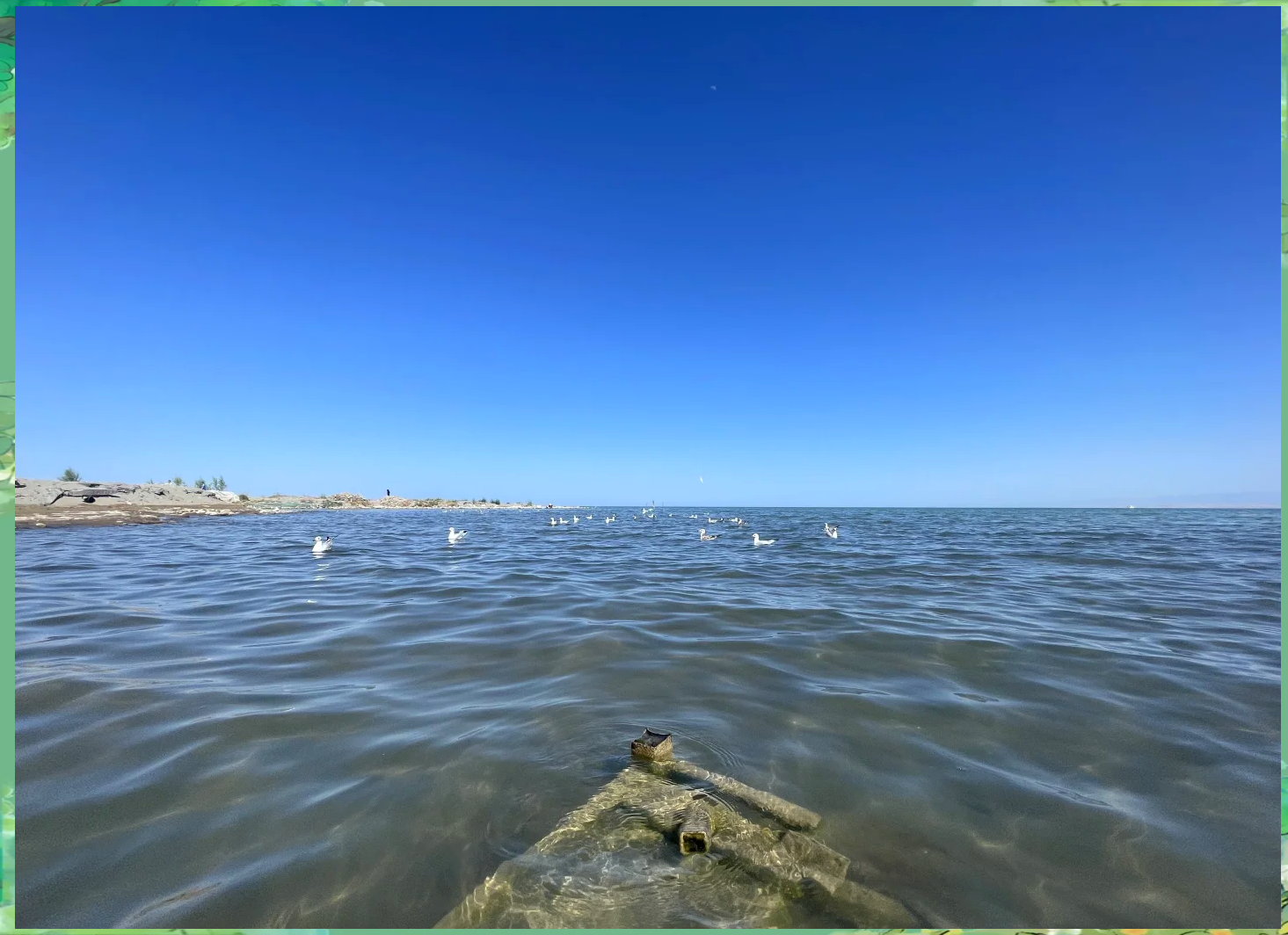 博斯腾湖可以海钓吗(博斯腾湖介绍ppt)