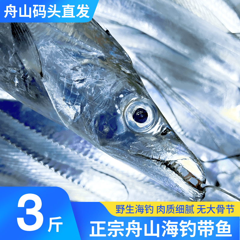 舟山有海钓带鱼吗(舟山钓带鱼用什么鱼饵)