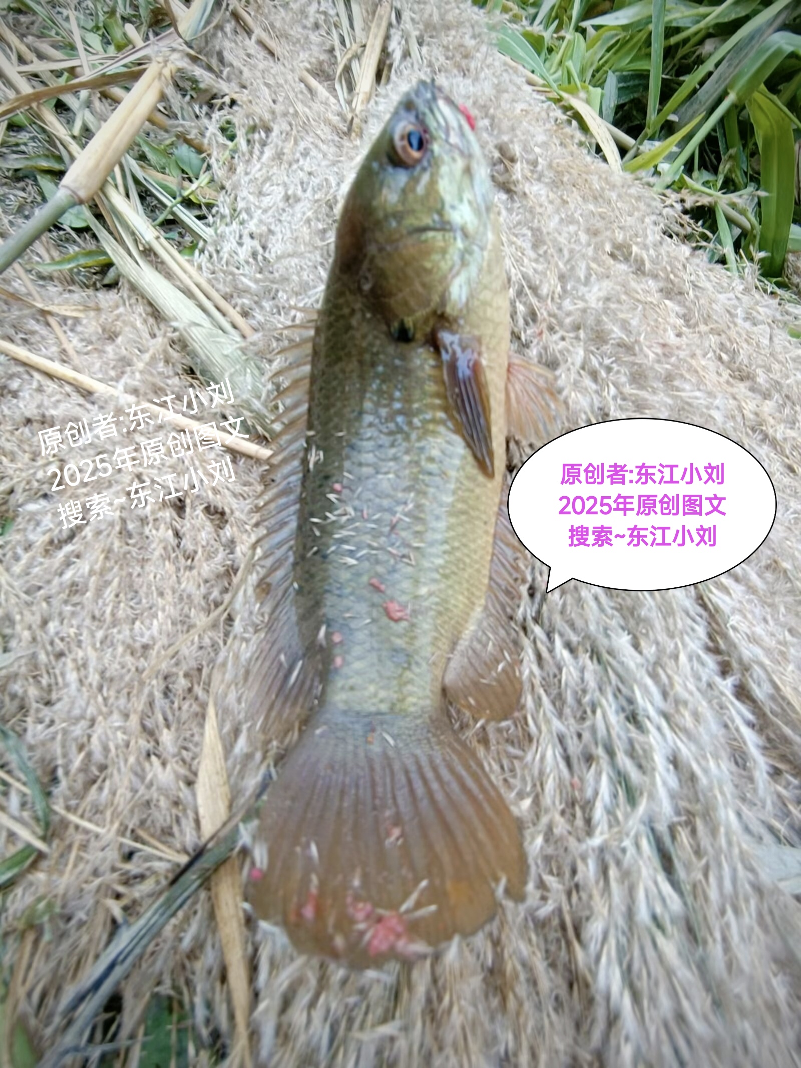 曹妃甸海钓573(曹妃甸楼盘一览表) 曹妃甸海钓573(曹妃甸楼盘一览表)