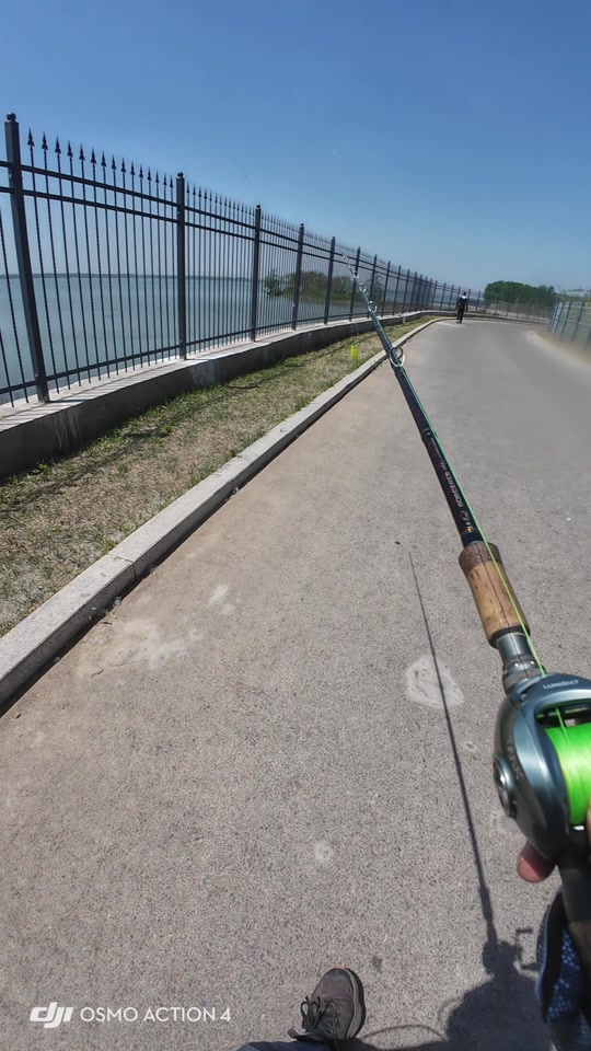 路亚搞笑视频(路亚段子)