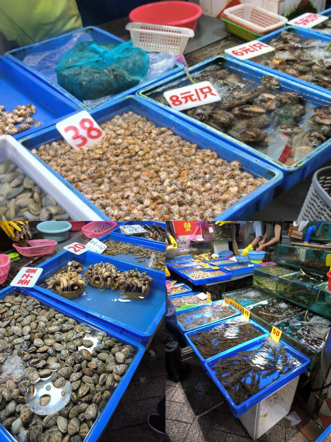 华南城哪卖渔具(华南城渔具批发市场吗)