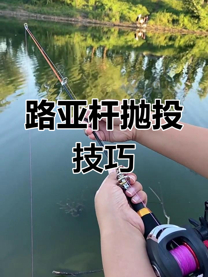 路亚操作(路亚操作的正确方法图解)