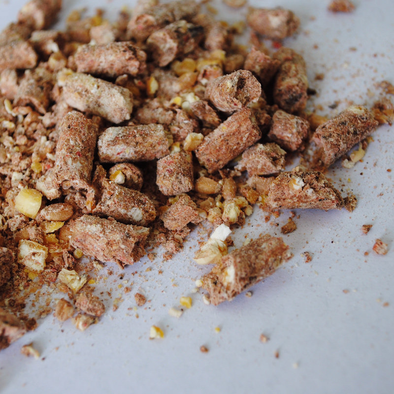 粒粒层饵料(粒粒成开饵视频)