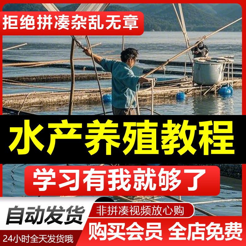 装鱼技巧视频教程(装鱼钓的视频)