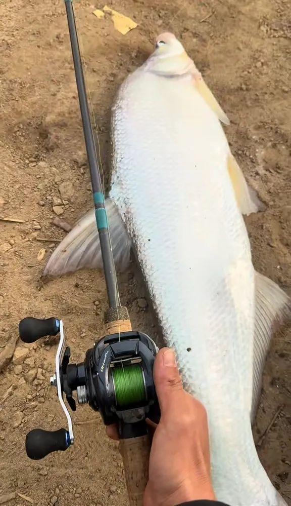 海钓翘嘴(钓翘嘴用海夕钩好不好)