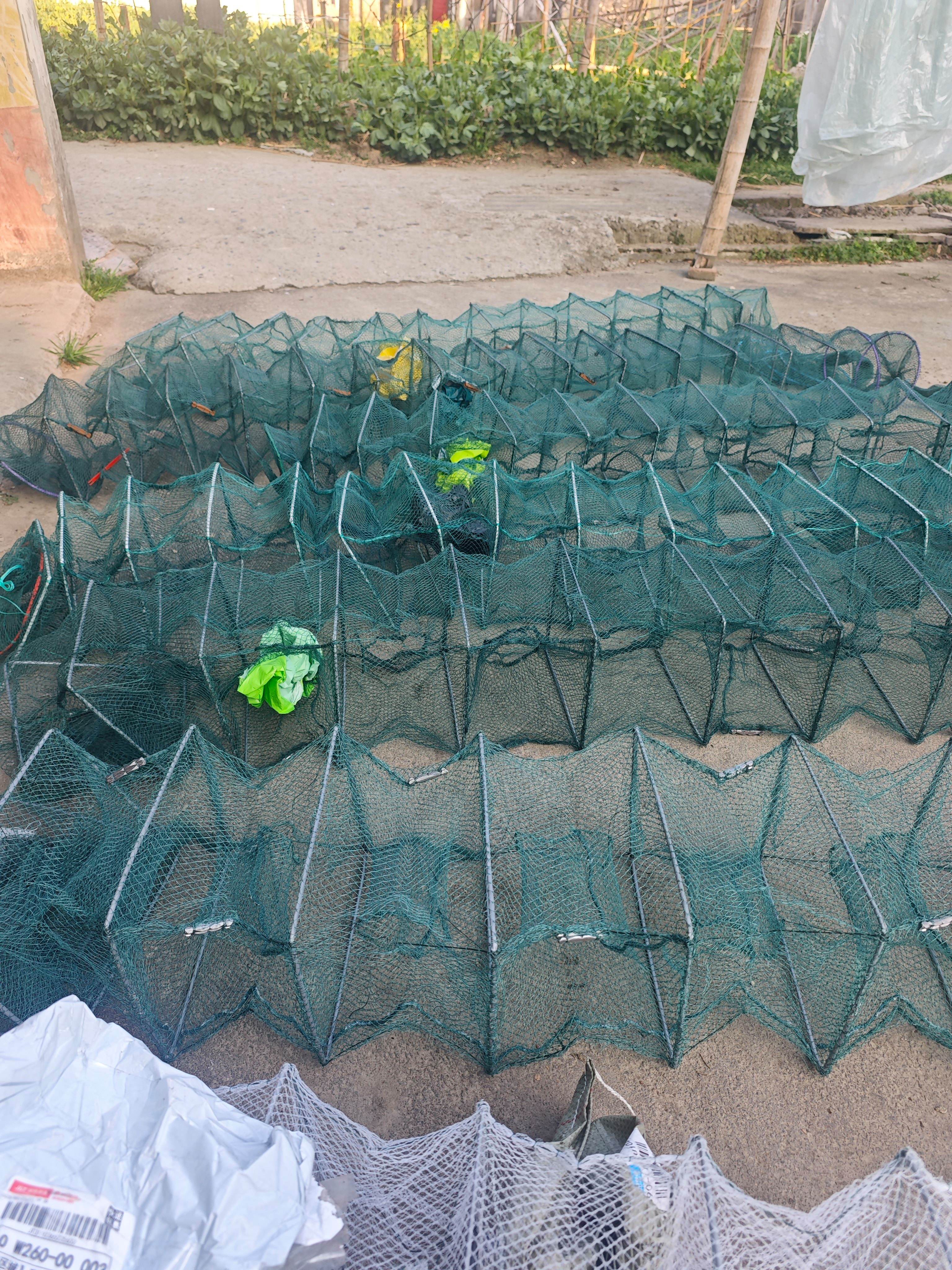 用渔网捞虾技巧视频(用渔网捞虾技巧视频讲解)