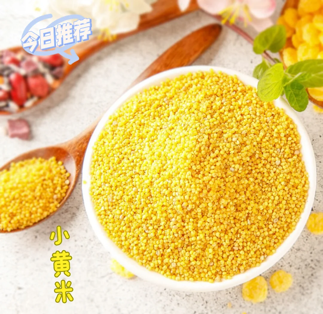 小黄米饵料(小黄米钓鱼作用) 小黄米饵料(小黄米钓鱼作用)