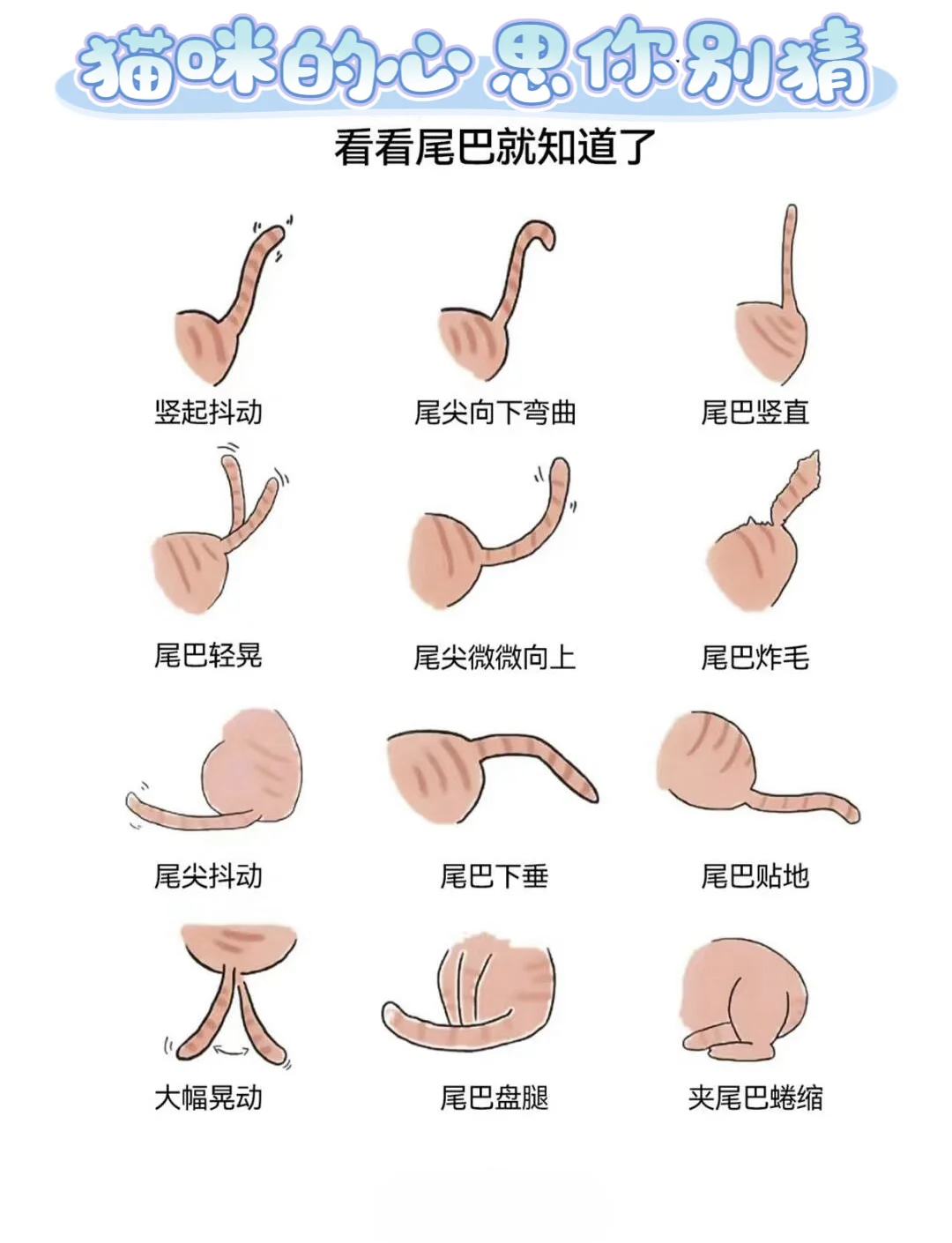 t尾的技巧(t尾线组)