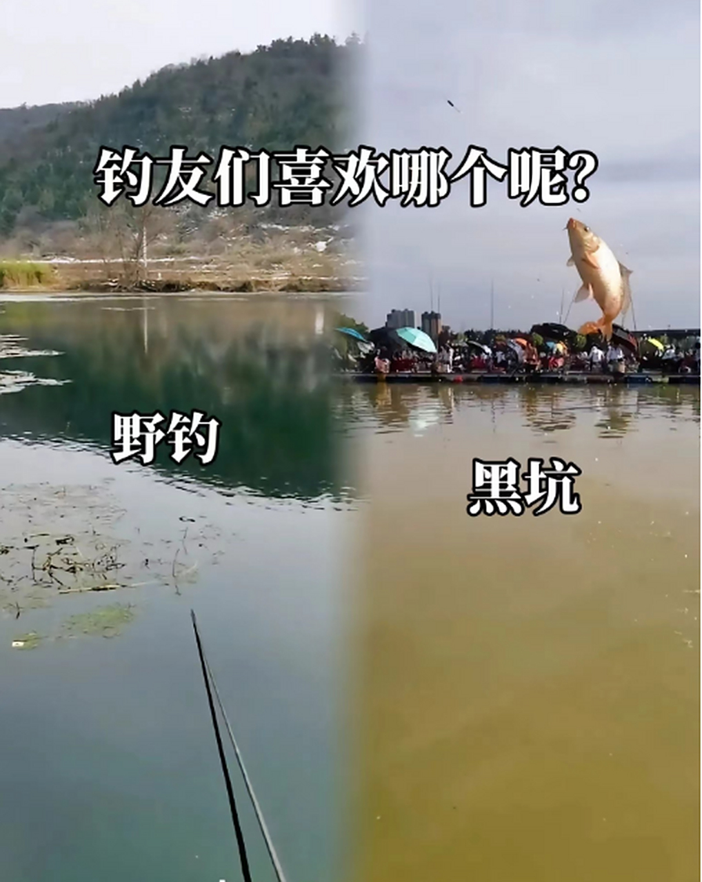 黑坑水黑钓鱼技巧(黑坑水太浅怎么钓鱼)