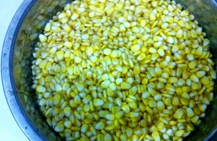 玉米饵料泡硬了(泡制的玉米饵料可以储存多长时间)