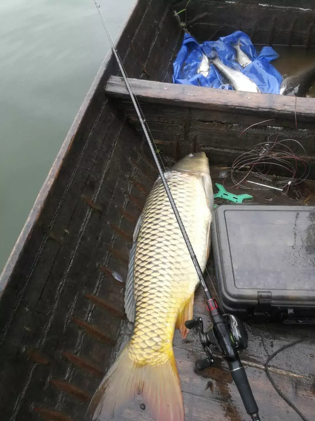 上海2021路亚展会(路亚展会2022)