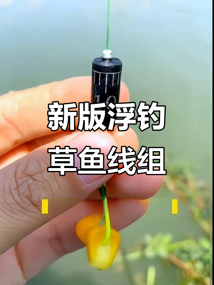 夏天浮钓草鱼技巧(夏天草鱼钓浮好还是钓底好)