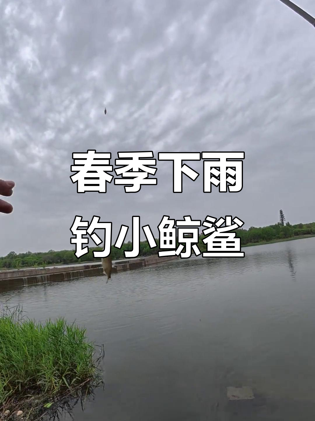 下雨玩路亚(下雨路亚能钓到鱼吗)