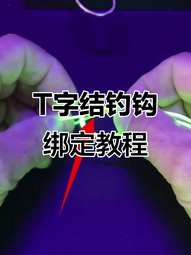 的串钩钓鱼技巧(串钩怎样钓鱼视频)