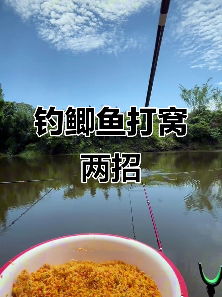 面积大钓鲫鱼技巧(大水面钓鲫鱼用多长的竿合适)