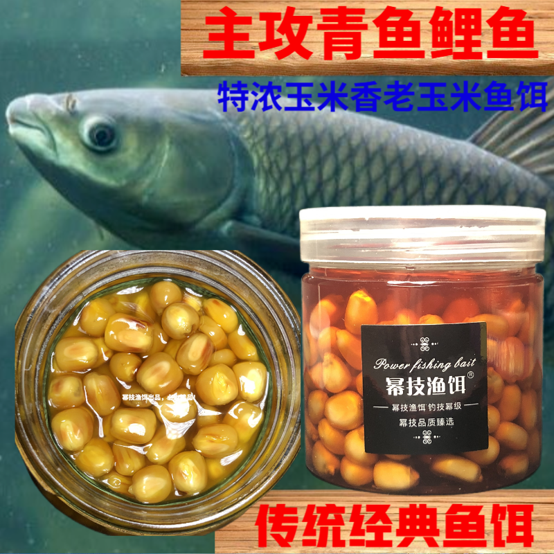 夏季青鱼吃什么饵料(春天青鱼喜欢吃什么味型的饵料)