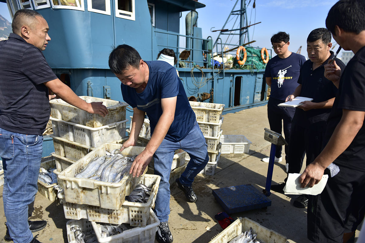 高栏码头海钓(高栏港鱼排钓鱼)