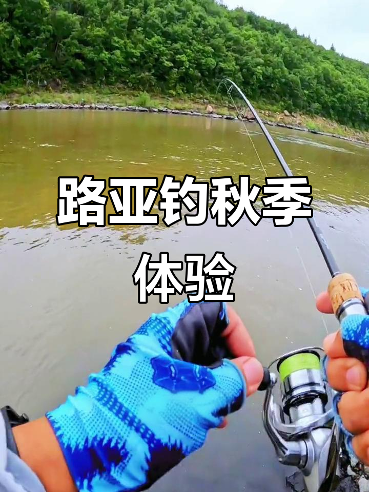 秋季路亚的技巧视频(秋季路亚钓鱼技巧)