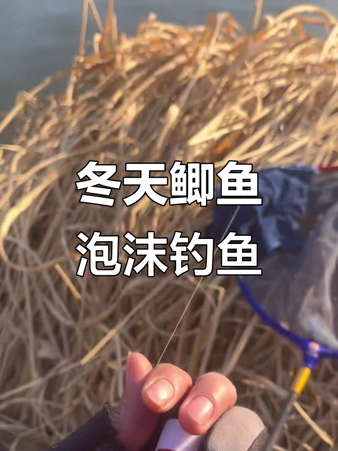 钓鲫鱼逗的技巧(钓鲫鱼小技巧)