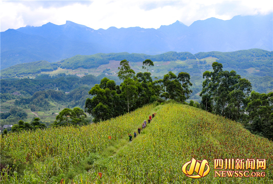 袁家坝路亚(四川省西部风鱼饵渔具有限公司)