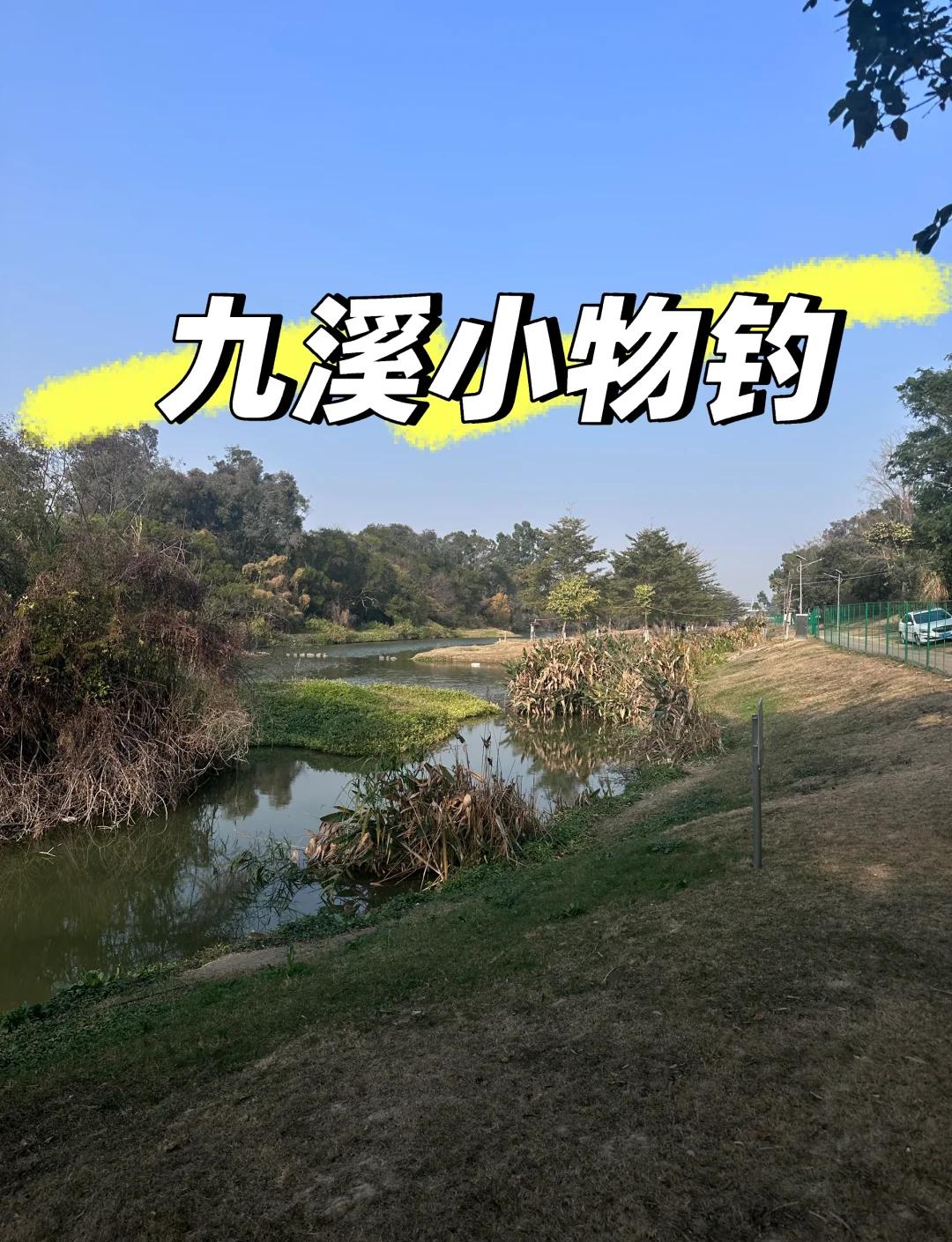 厦门可以海钓吗(厦门海钓哪里鱼多)