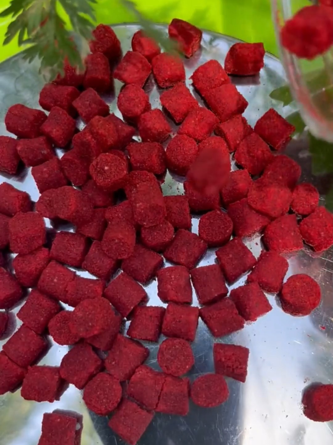 蚯蚓饵料测试(蚯蚓做饵如何调漂)