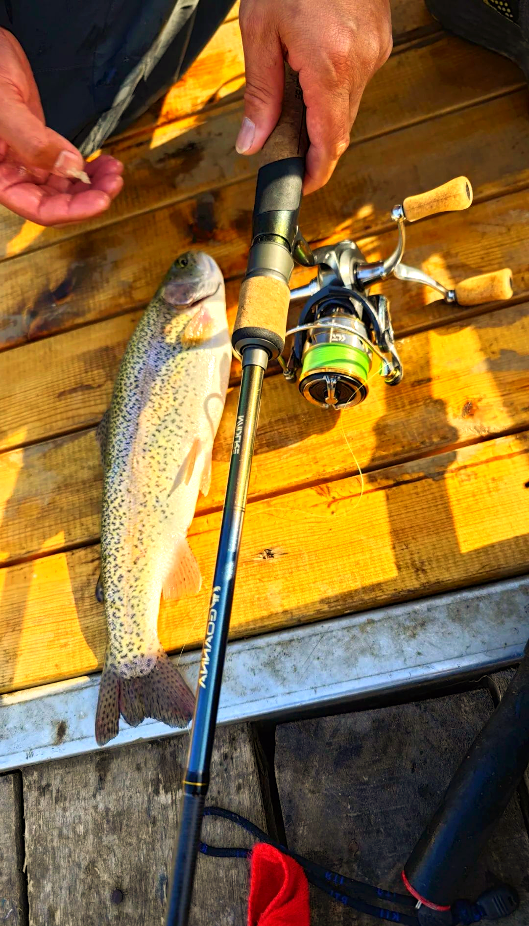 船上钓鱼技巧(船里钓鱼)