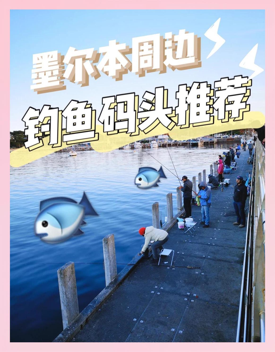 墨尔本海钓价格(墨尔本海边旅游景点)