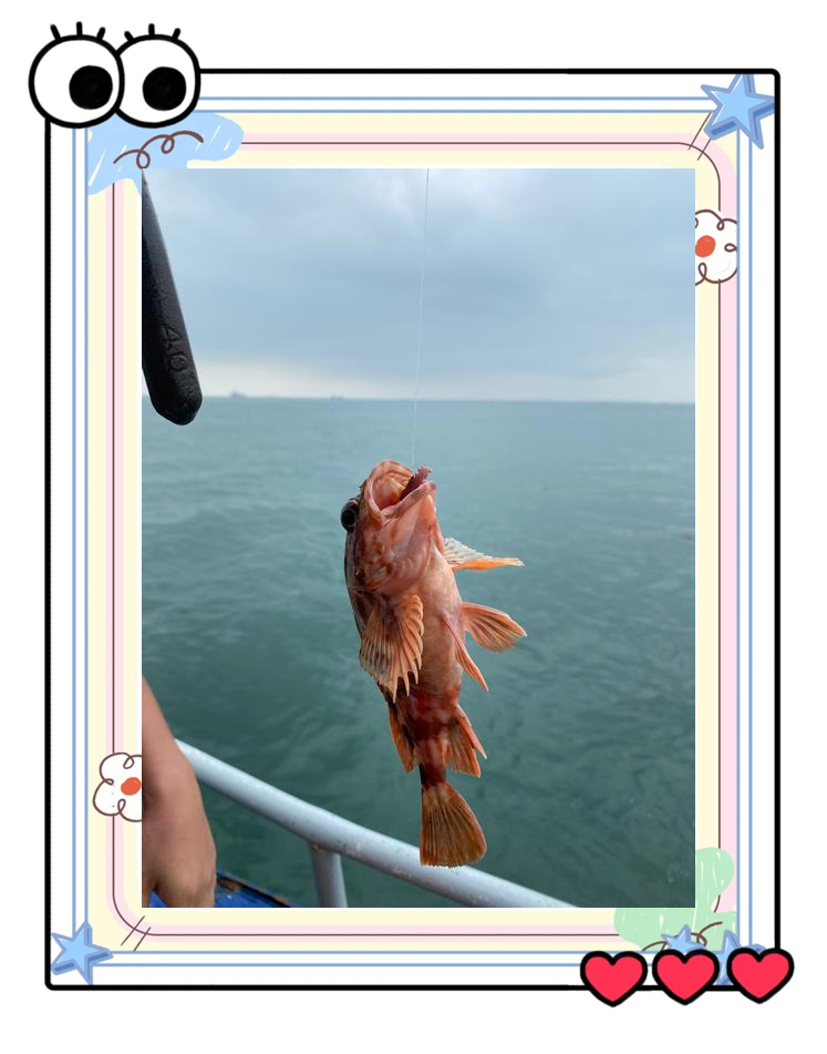 国庆荣成海钓(荣成免费海钓)