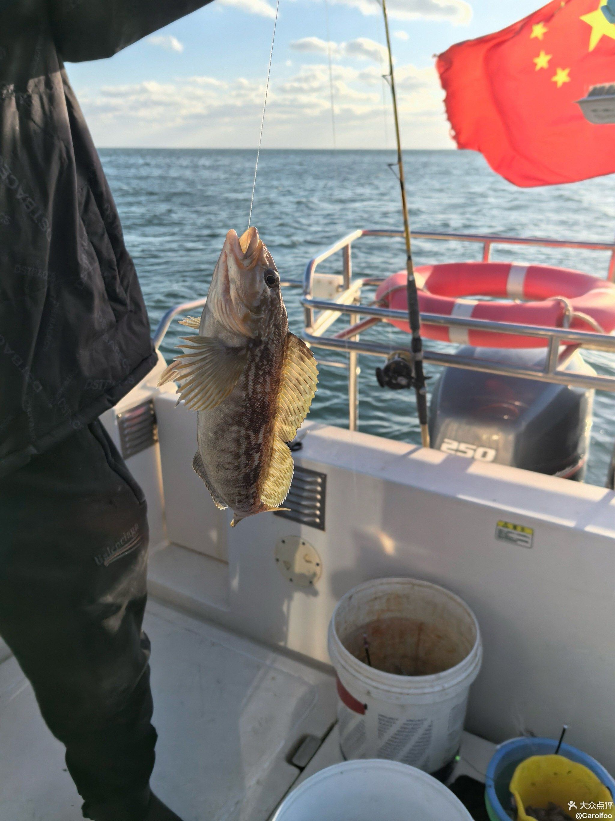 国庆荣成海钓(荣成免费海钓)