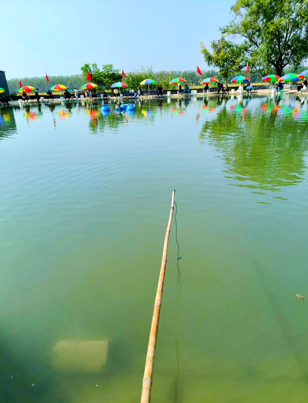 宁海海钓鱼塘(宁海海钓鱼塘电话)