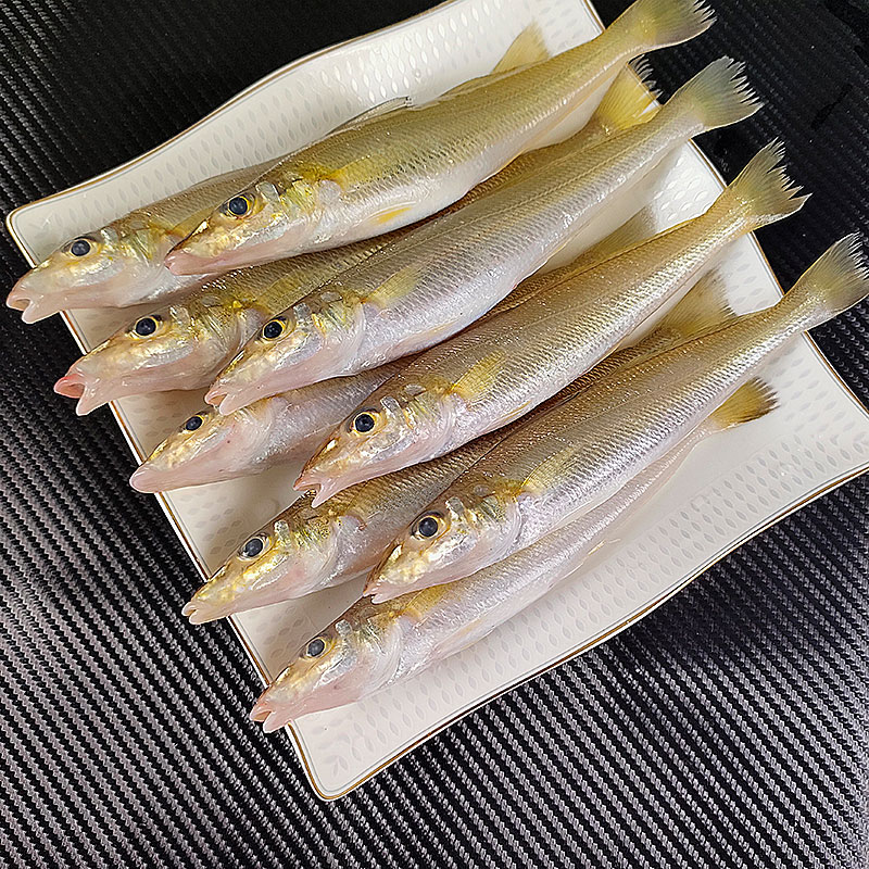 几月海钓沙尖鱼(沙尖的垂钓季节)