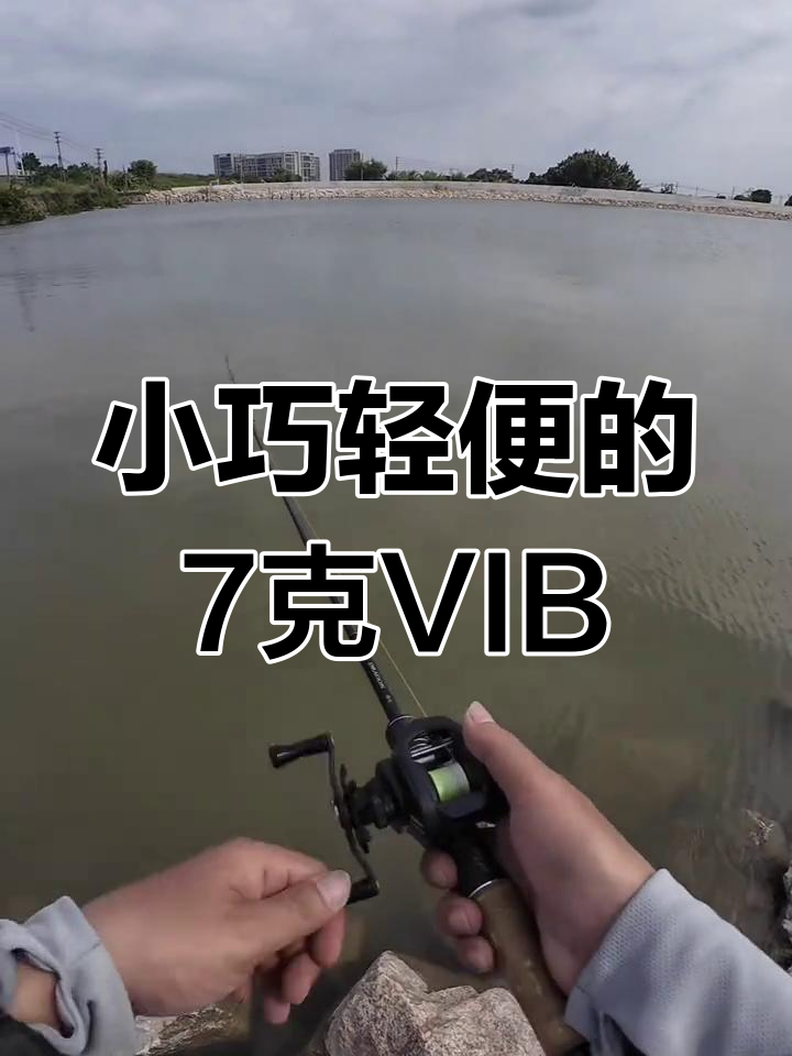 vib操作技巧(vib操作手法视频)