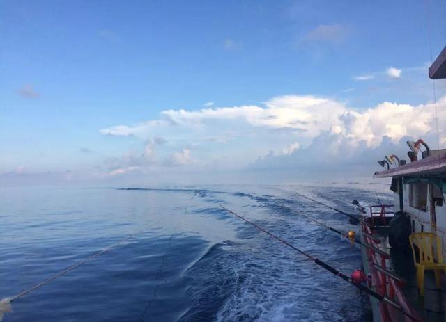 海钓最多鱼的地方(海钓哪个地方好)